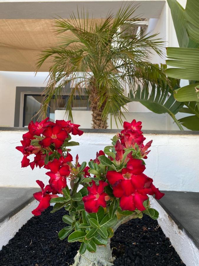 Casa Delfin Playa Blanca别墅 外观 照片